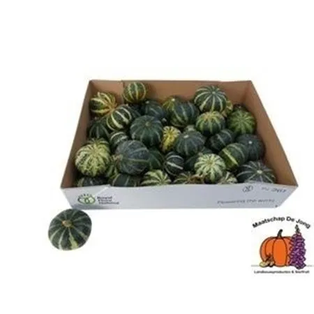 Cuc P Green Bell