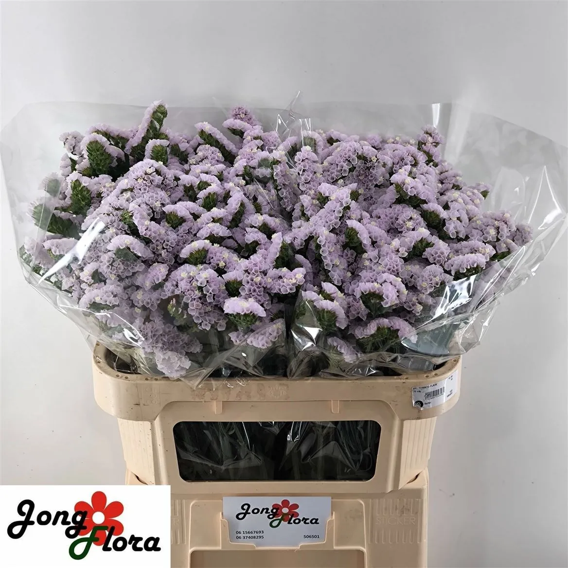 Lim S Fairy Wings • 75 cm