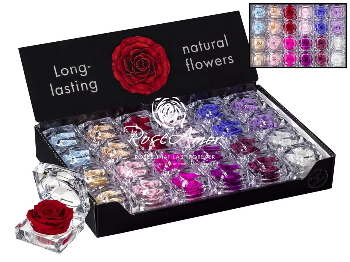 Pres. Display Jewel Assorted Pastel