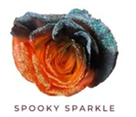 Ruža farbená Spooky Sparkle, Ekvádor • 50 cm