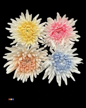 Chryzantéma veľkokvetá Marshmallow mix • 70 cm