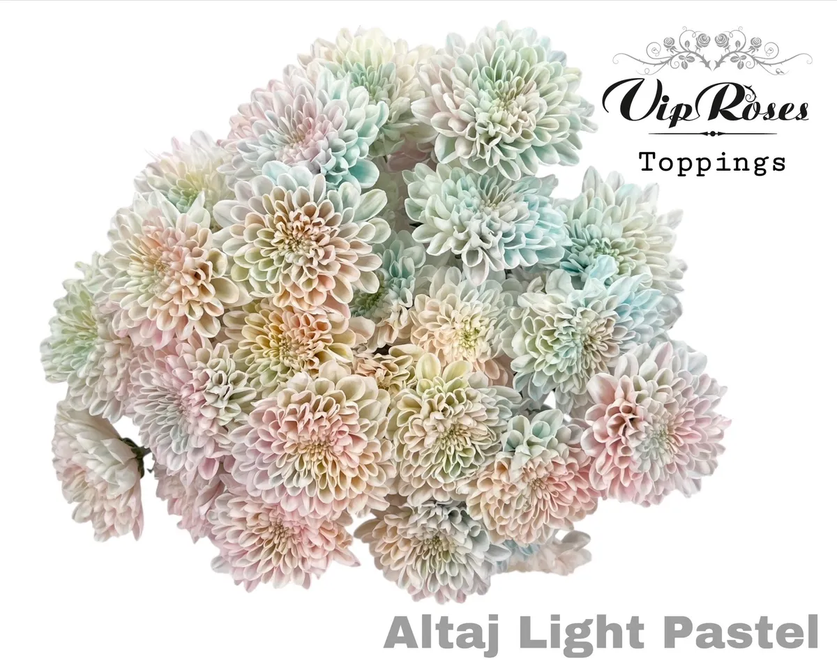 Chr T Altaj Light Pastel • 70 cm