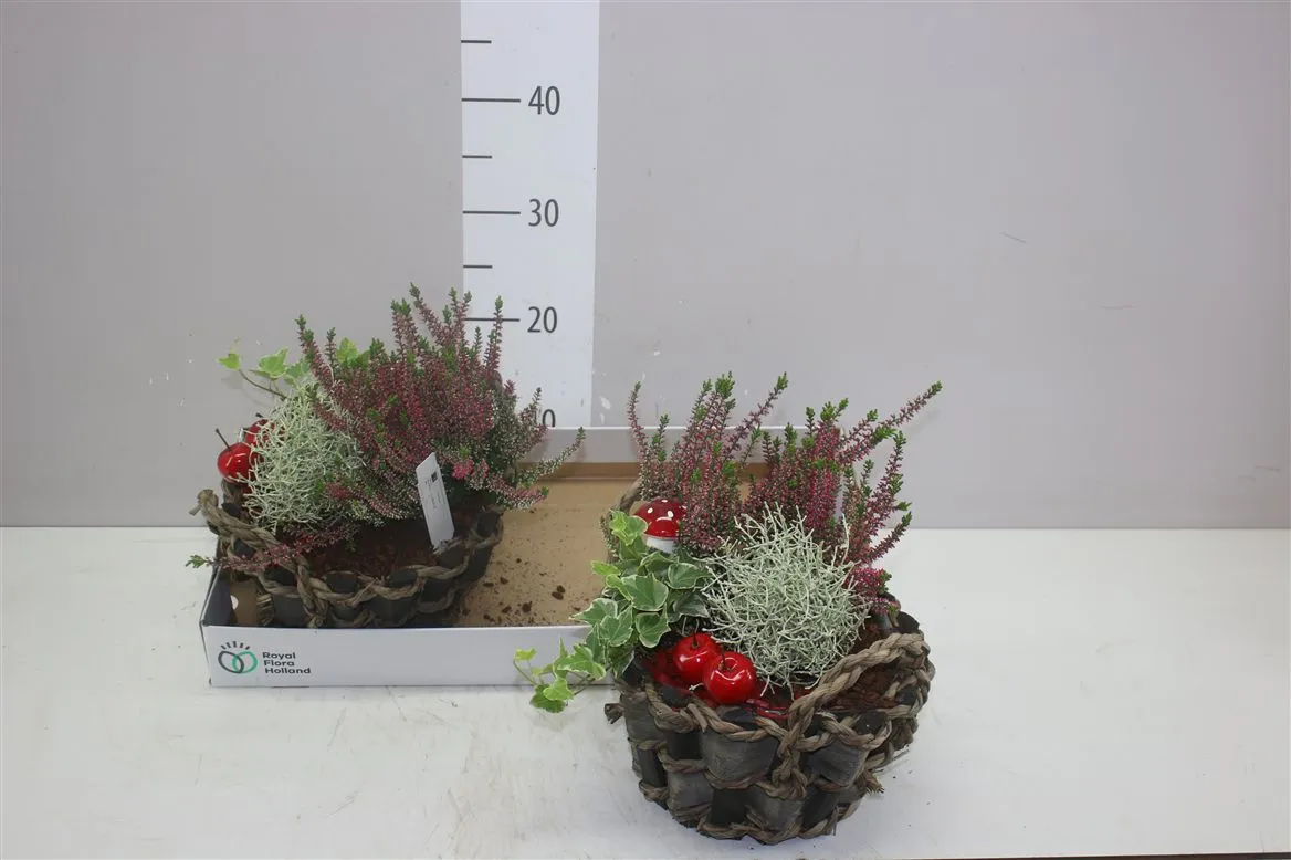Arr Tuinplanten In Stof Met Touwrand Rond • črepník 25 cm