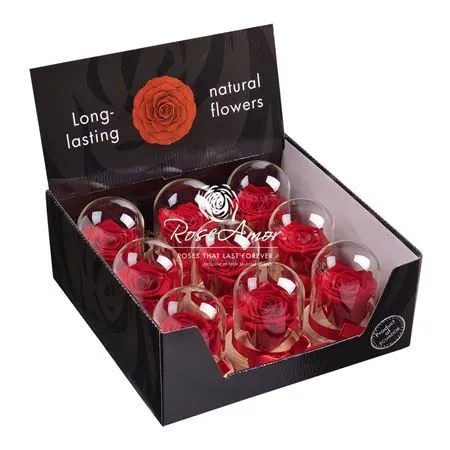 Pres. Display Dome Sarah Red02
