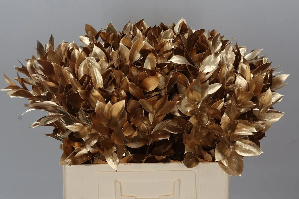 Ruskus farbený Antique Gold • 60 cm