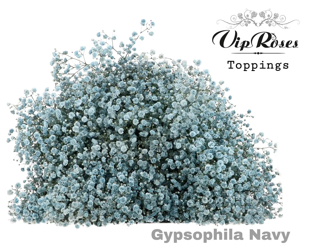 Gyps Pa Navy • 80 cm