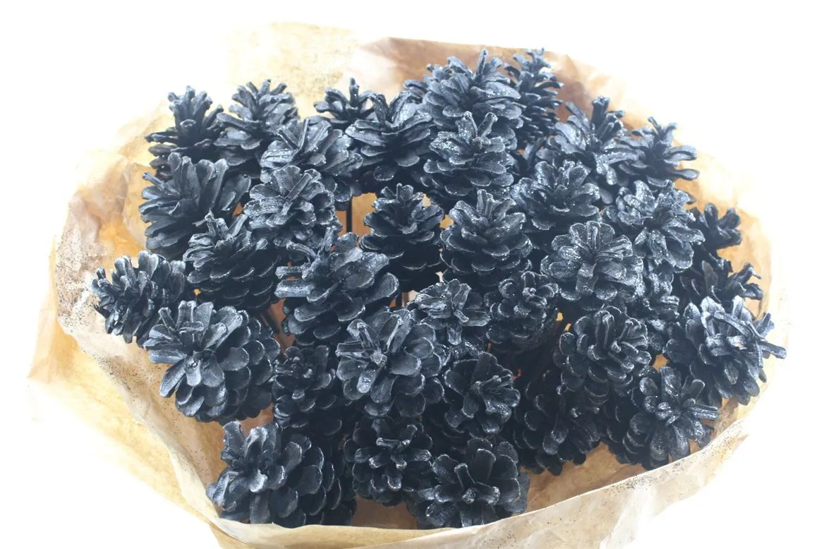 Pine Cone Black Glitter, sušené • 50 cm
