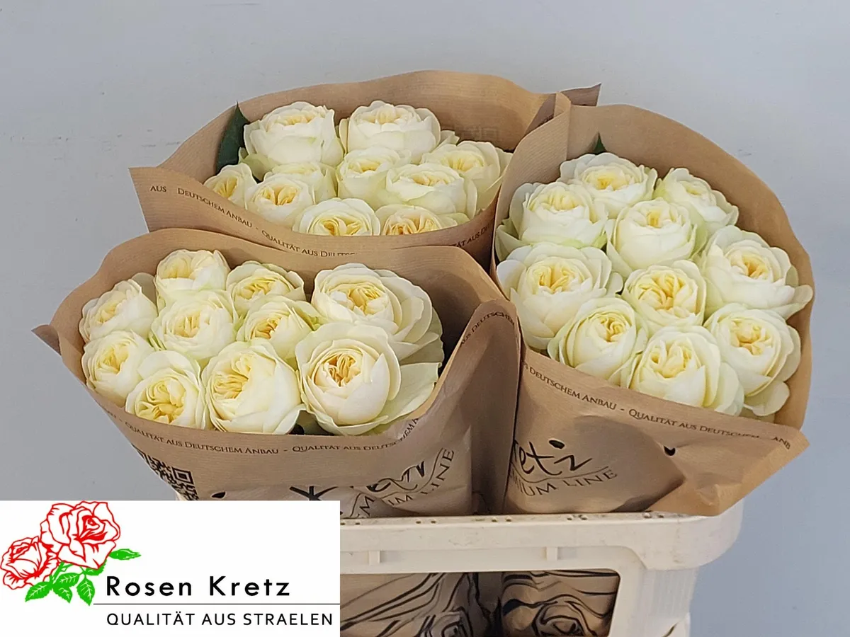 R Gr Wedding Chapel! • 70 cm