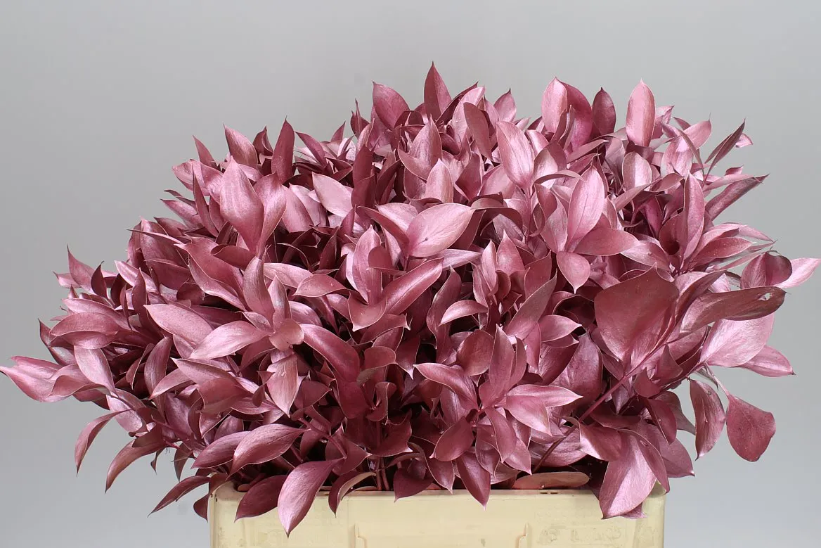 Ruskus farbený Rose/gold • 60 cm