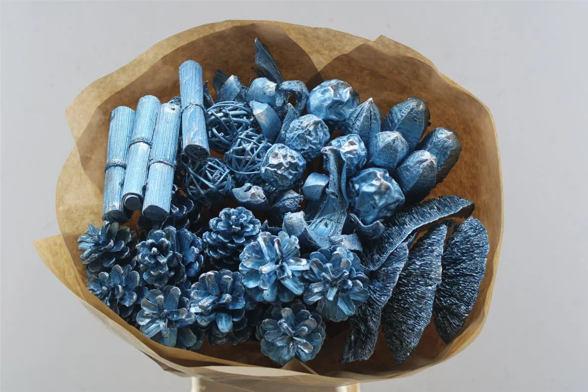 mix Blue X40, sušené • 50 cm