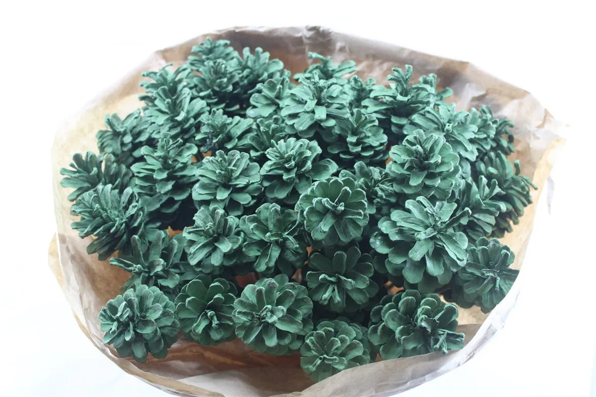 Denn Green, sušené • 50 cm