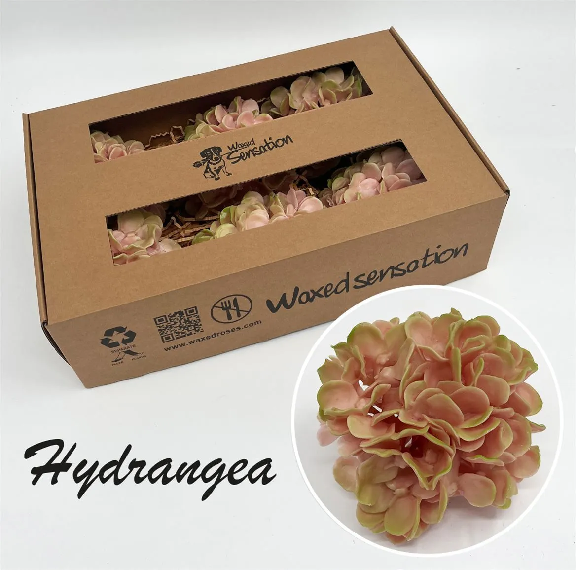 Zijde Hydr Wx Oud Rose • 20 cm