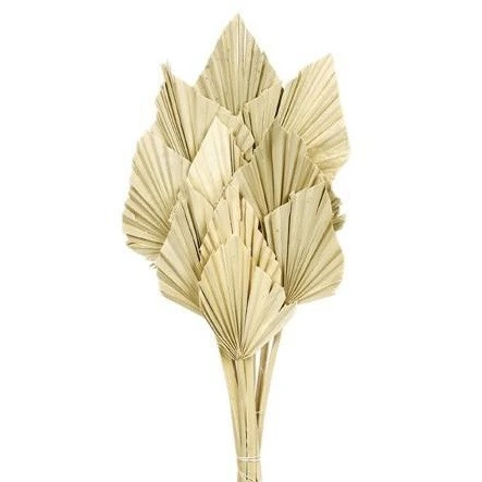 Sušený palmový list Spear hnedý 50 cm