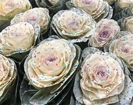 Brassica Painted Candy Glitter • 60 cm