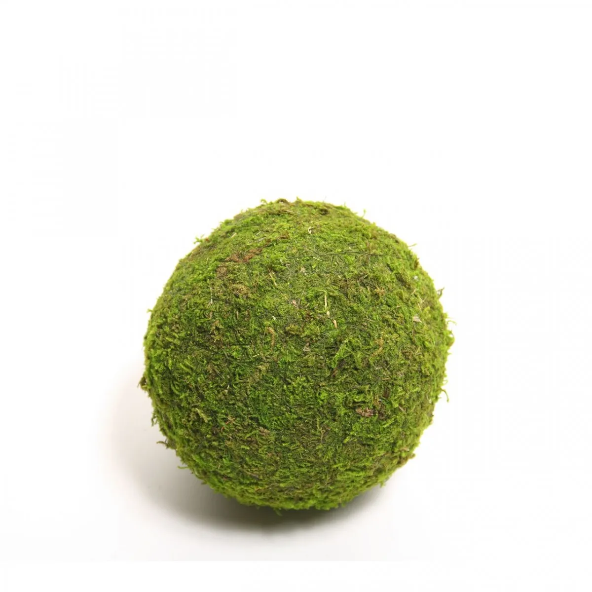 Sušený materiál mach guľa zelená 8 cm