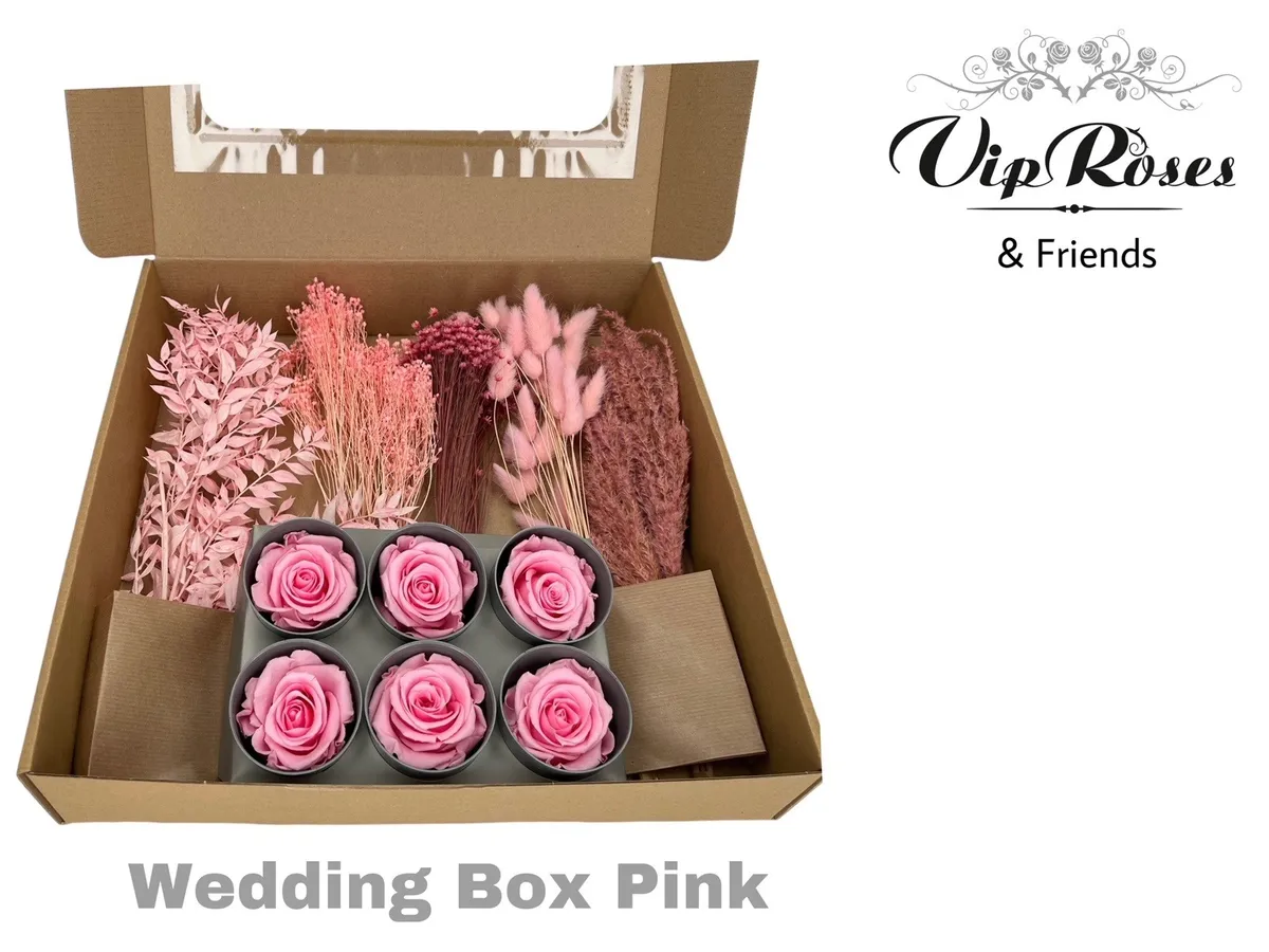 Weddingbox Pink, sušené • 8 cm