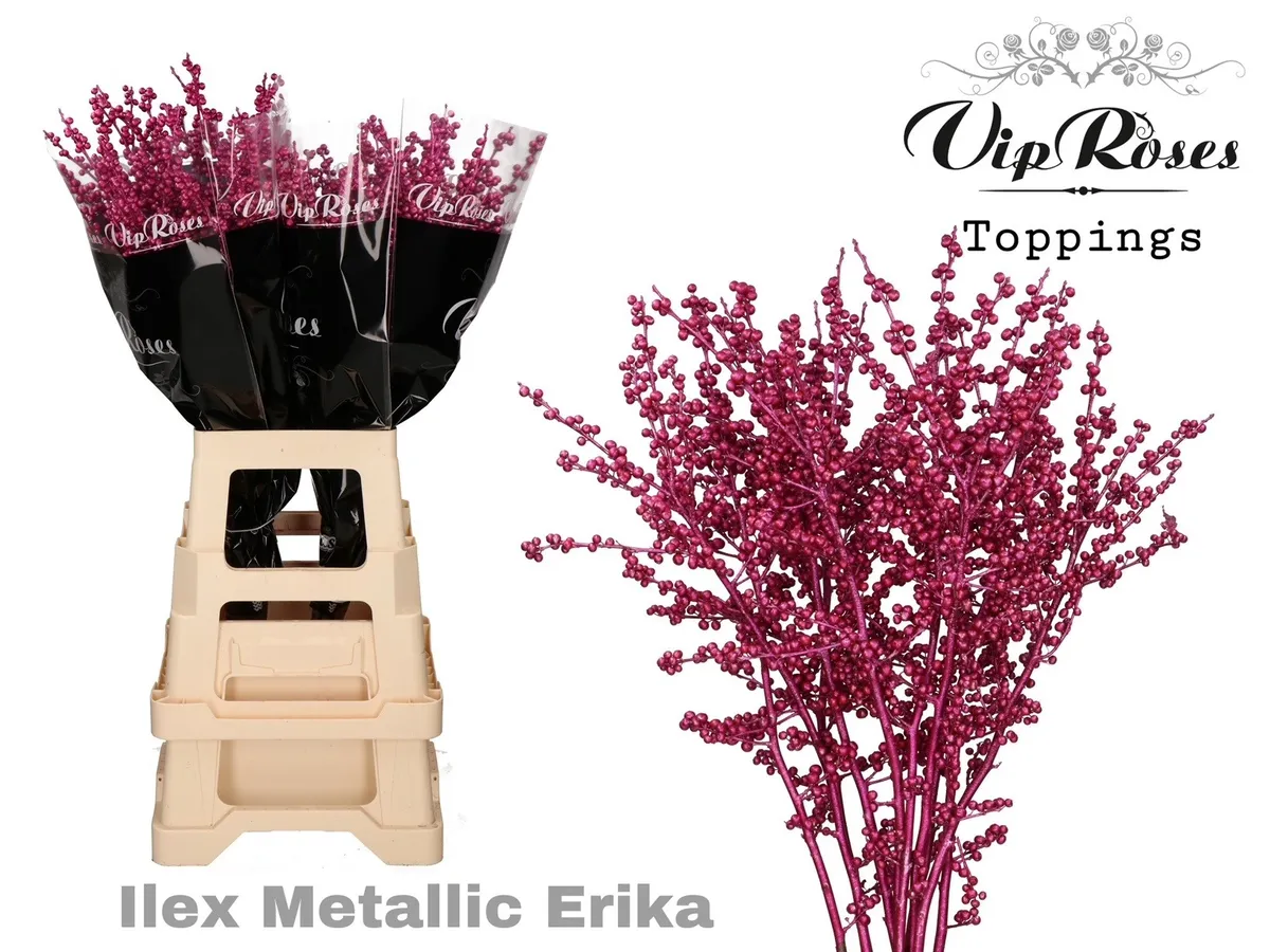 Ilex Metallic Erica 70 Cm • 70 cm