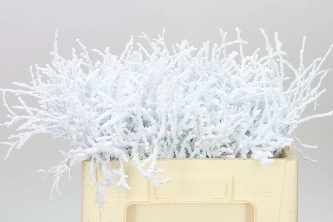 Vac Huck Flocked White