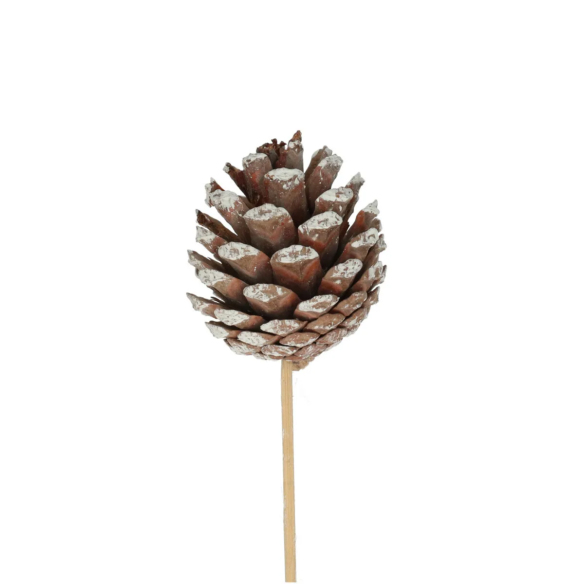 Šiška strieborná na zápichu 50 cm