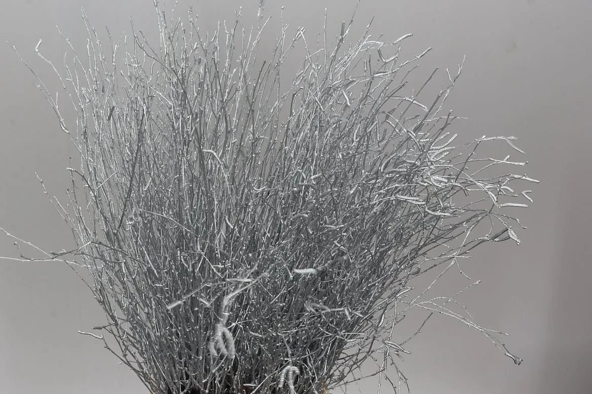 Breza Silver Glitter • 70 cm