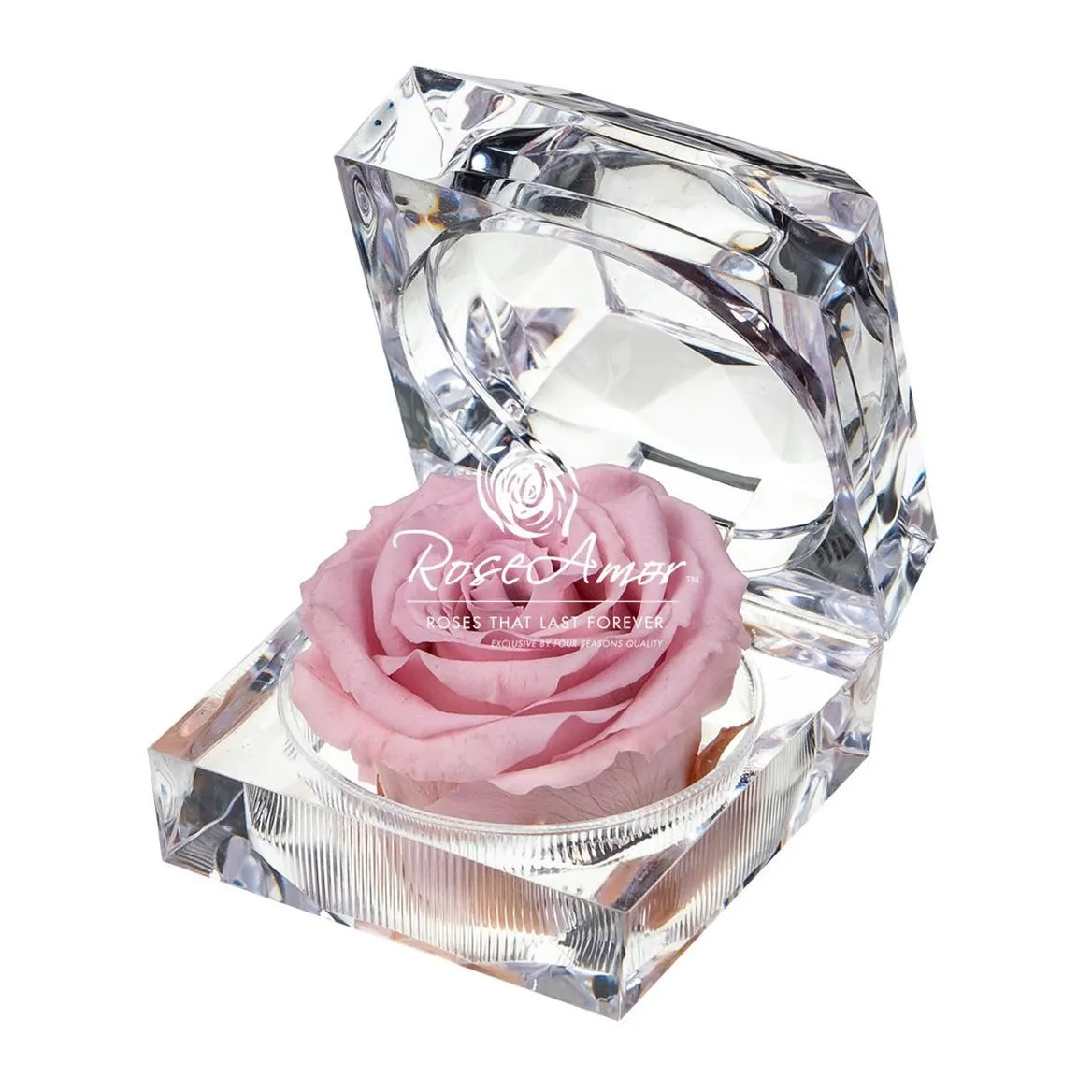 Pres. Display Jewel Pin04