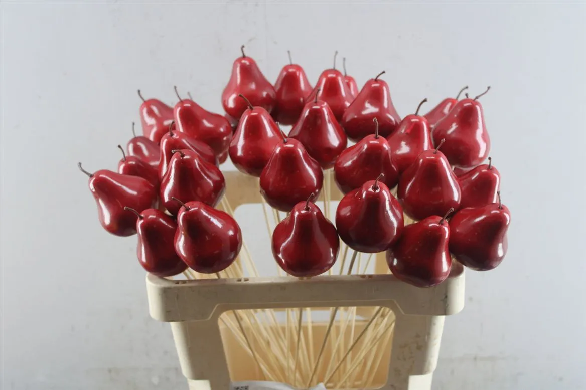 Pear Red, sušené • 50 cm