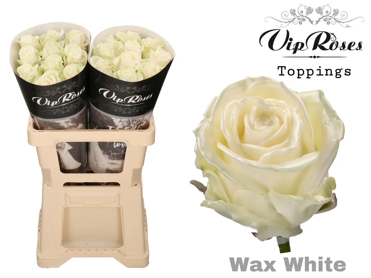 R Gr Wax White X20 • 70 cm