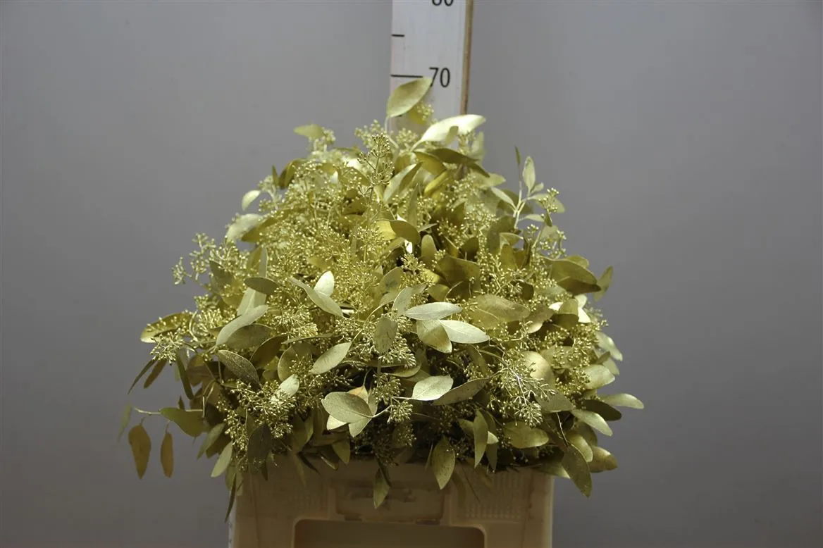 Eukalyptus Populus Berries Gold • 65 cm