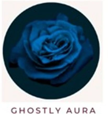 Ruža farbená Ghostly Aura, Ekvádor • 50 cm
