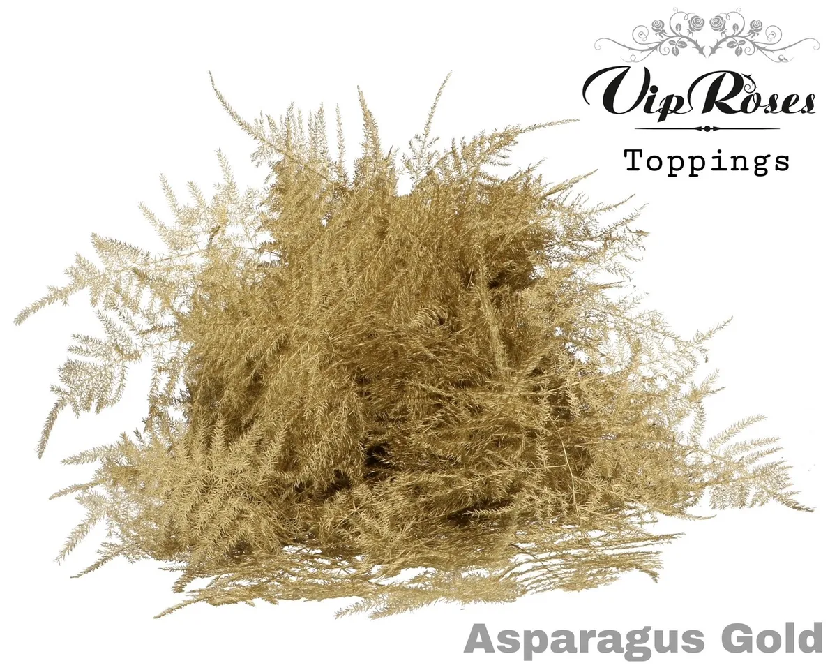 Asparágus Ov 1e Veren Gold • 45 cm
