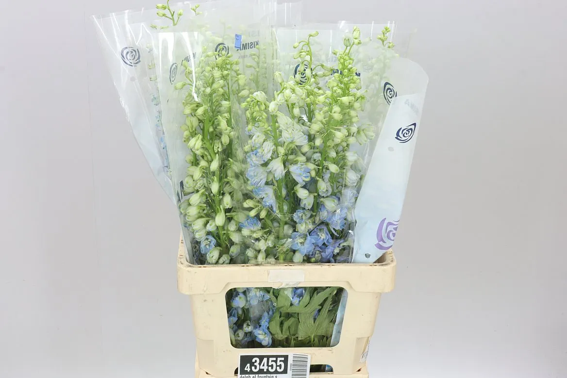 Delph El Fountain Sky Blue • 70 cm