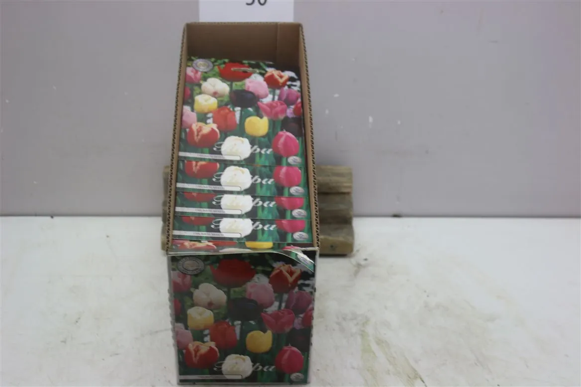Bol Tulp Triumph mix X10