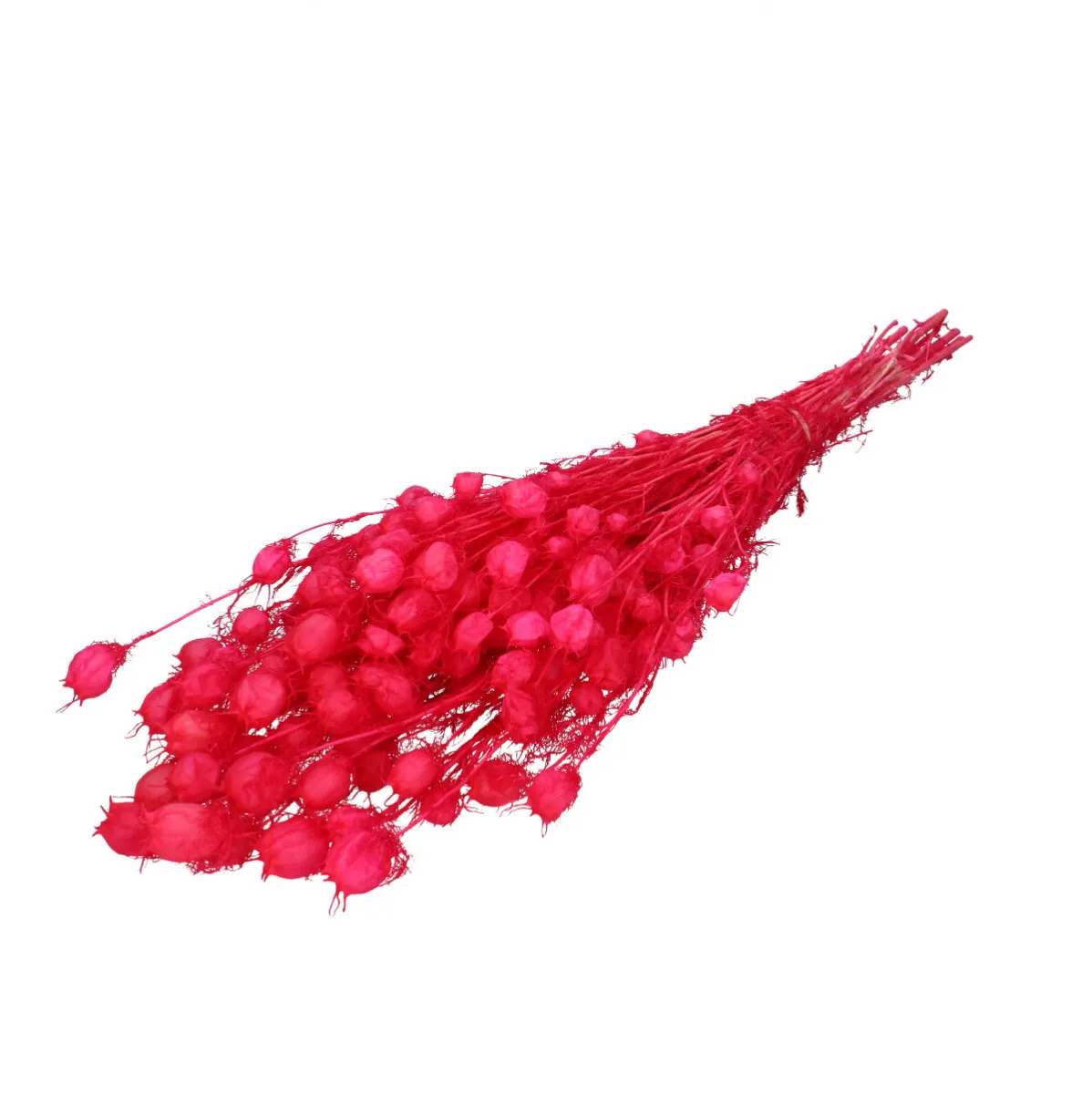 Stabilizovaná černuška 55 cm, fuksiová