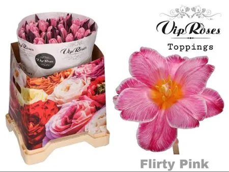 Tulipa Vip En Flirty Pink