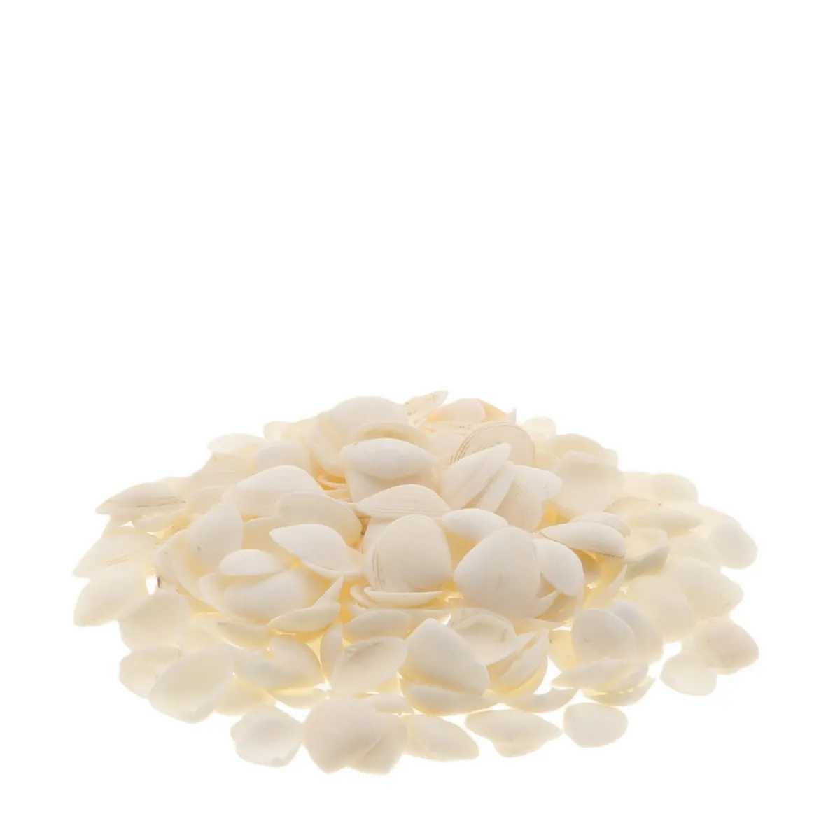 Mušle Caycay biele 1 kg