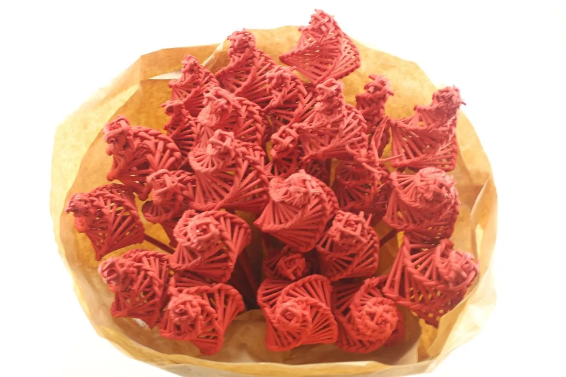 Lata Wokkel Red X25, sušené • 50 cm