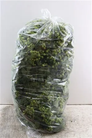 Hoppe Streng 7,5 Mtr P Zak • 750 cm