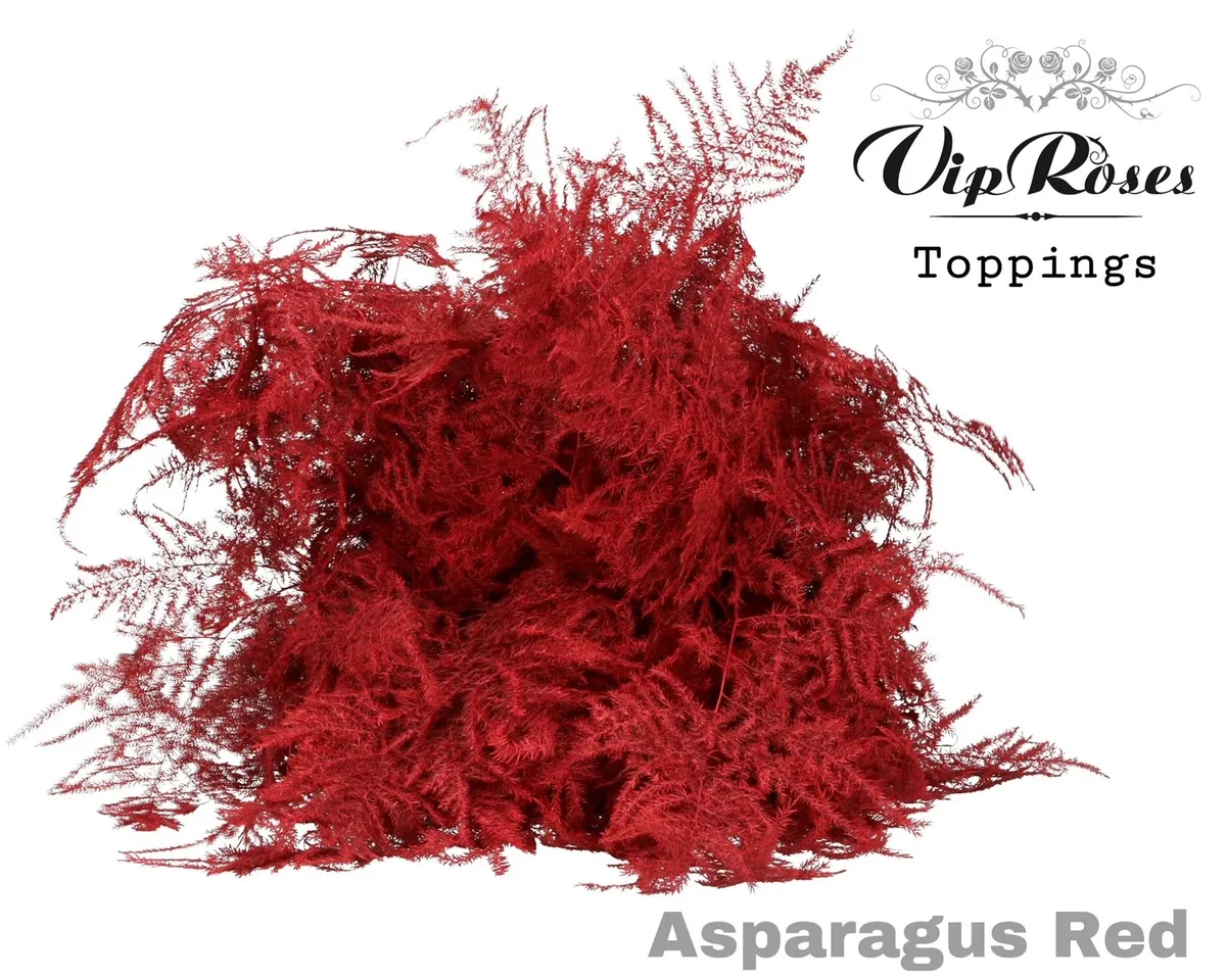 Asp Ov 1e Veren Red • 45 cm