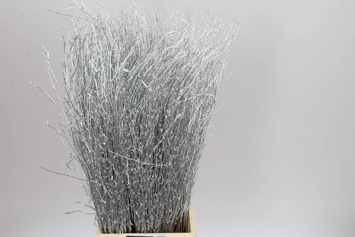 Breza Silver • 70 cm
