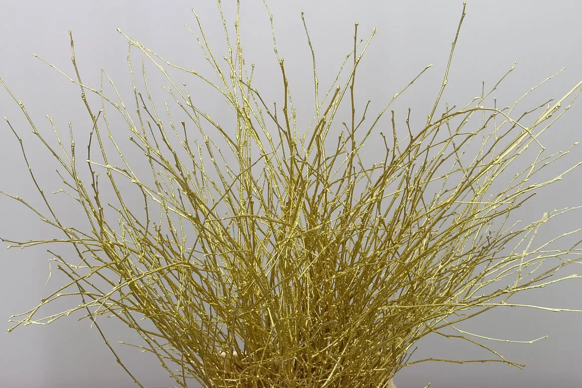 Breza Gold Glitter • 70 cm