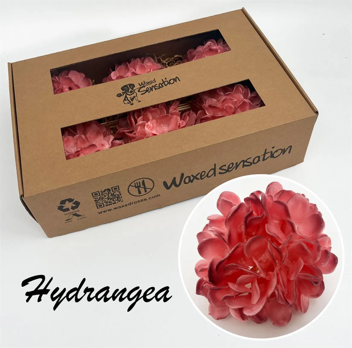 Zijde Hydr Wx Two Tone Pink • 20 cm