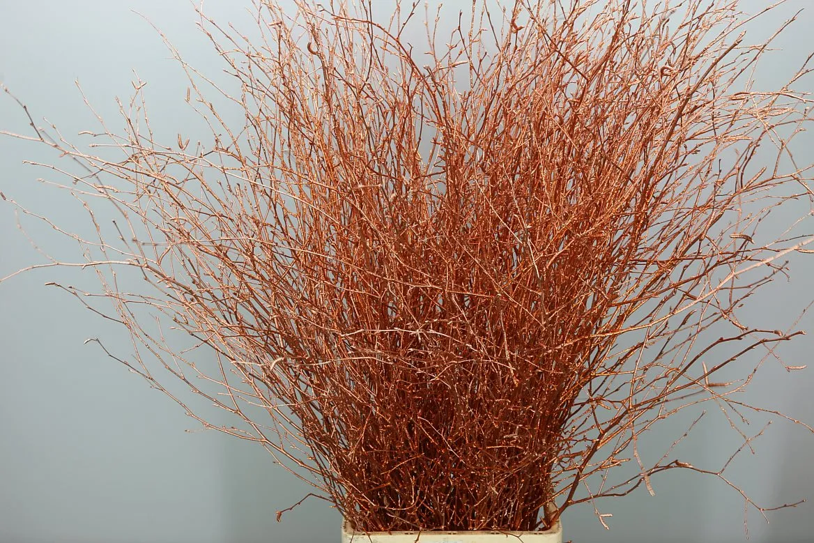 Breza Copper Glitter • 120 cm