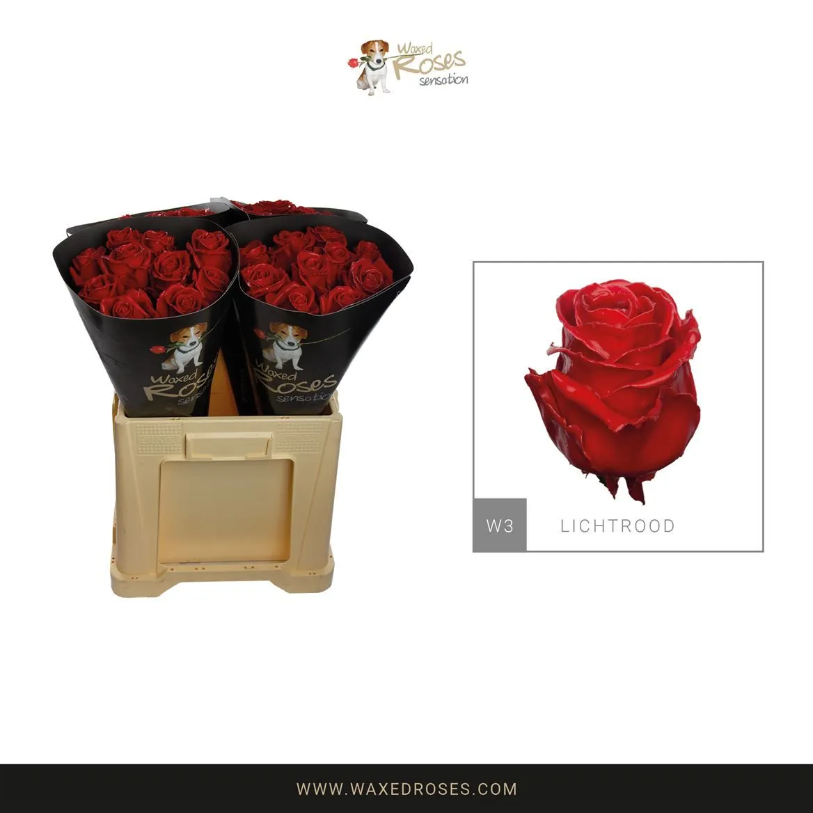 R Wx Licht Rood W3 • 60 cm