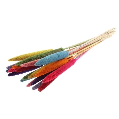 Sušená babala mix farieb 70 cm