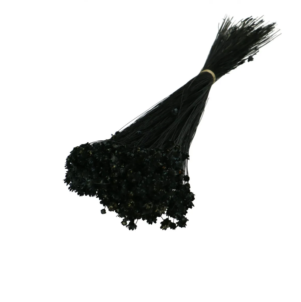 Sušená glixia čierna 40 cm, 50 g
