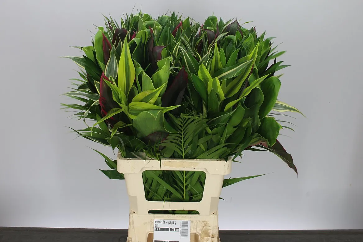 Bouquet 21 - Jungle Giant • 70 cm