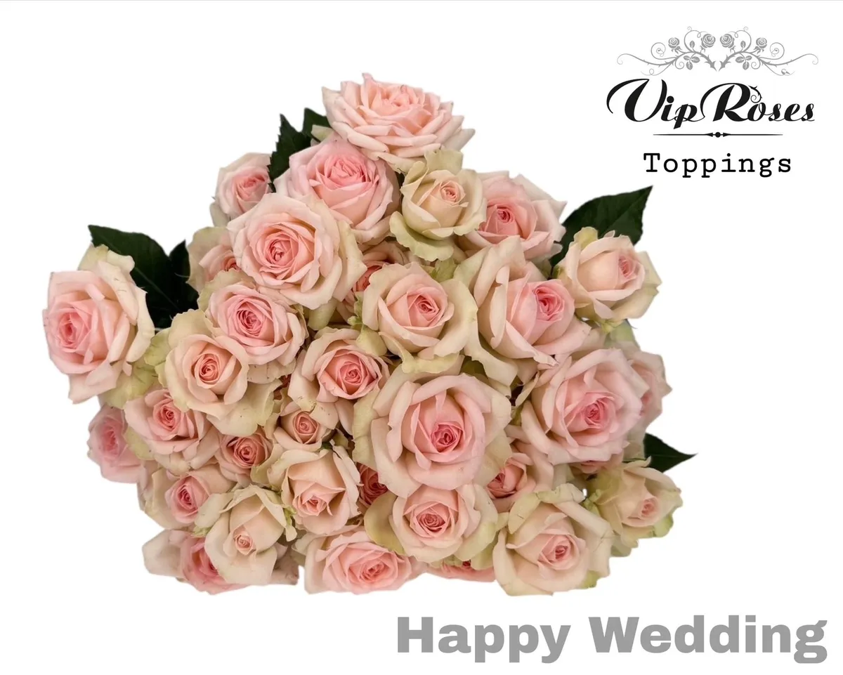 R Tr Happy Wedding • 60 cm