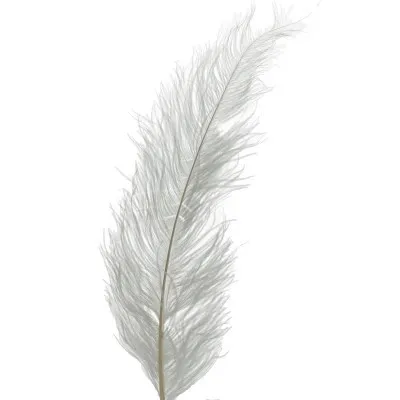 Pštrosie perie biele 55 cm