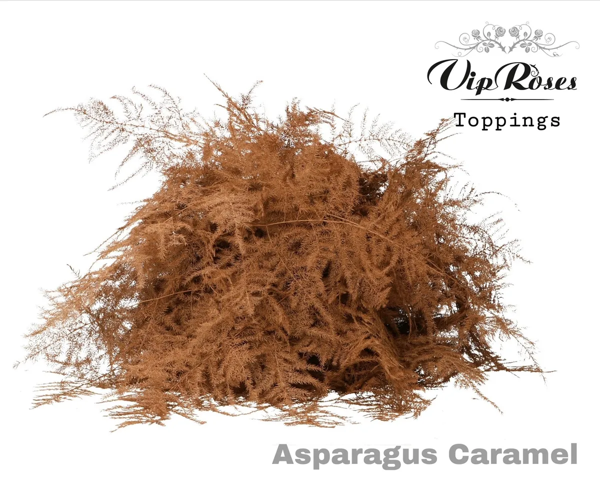 Asp Ov 1e Veren Caramel • 45 cm