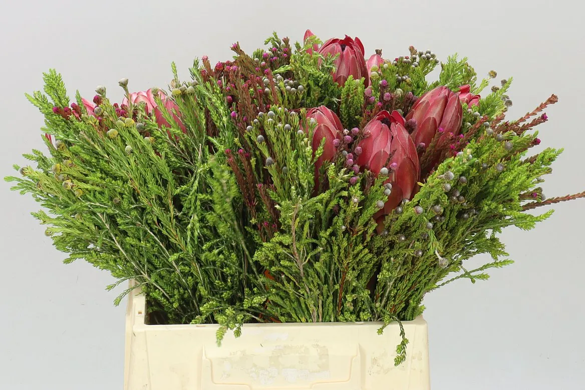 Bq 3 Flower Protea Tinted • 40 cm